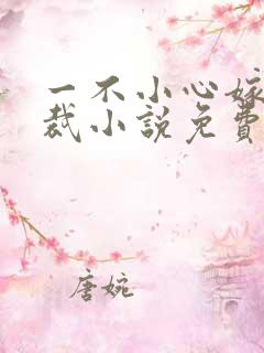 一不小心嫁了总裁小说免费阅读全文