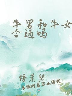 牛男和牛女婚配合适吗