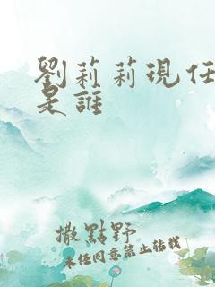 刘莉莉现任丈夫是谁