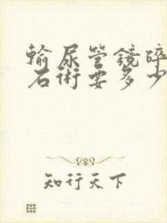 输尿管镜碎石取石术要多少钱