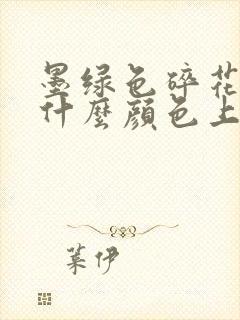 墨绿色碎花裙配什么颜色上衣好看