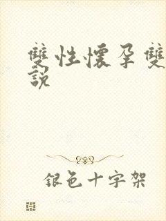 双性怀孕双男小说