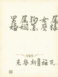 男属狗女属猪的婚姻怎么样