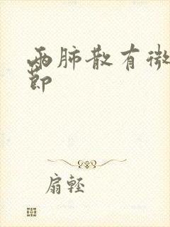 两肺散有微小结节