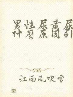 男性尿黄尿疼是什么原因引起的