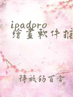 ipadpro绘画软件推荐