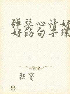 弹琴心情好与不好的句子环境描写