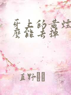 牙上的黄烟渍怎么能去掉