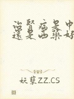 治肾病是中药好还是西药好