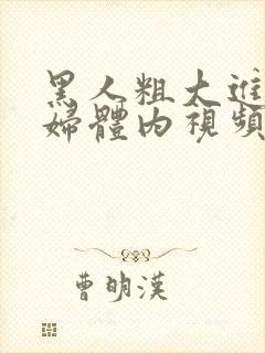 黑人粗大进入少妇体内视频