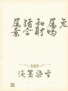 属猪和属兔做生意合财吗