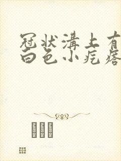 冠状沟上有一排白色小疙瘩