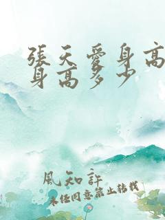 张天爱身高实际身高多少