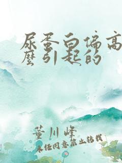 尿蛋白偏高是什么引起的