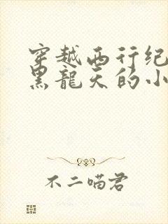 穿越西行纪成为黑龙天的小说