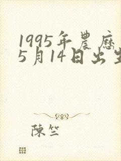1995年农历5月14日出生的人命运