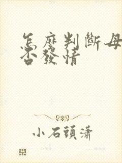 怎么判断母猫是否发情