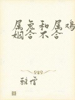 属兔和属鸡的婚姻合不合