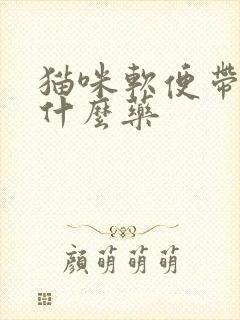 猫咪软便带血吃什么药