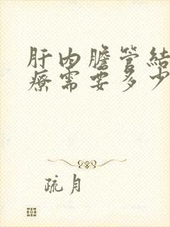 肝内胆管结石治疗需要多少费用