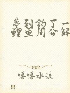 梦到钓了一条大鲤鱼周公解梦