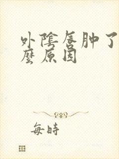 外阴唇肿了是什么原因