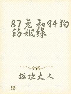 87兔和94狗的姻缘