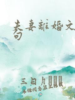 夫妻离婚文案短句