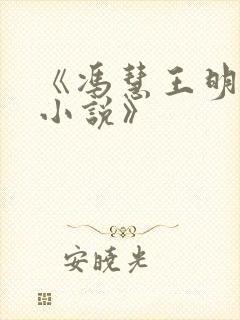 《冯慧王明张强小说》