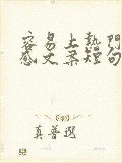 容易上热门的伤感文案短句