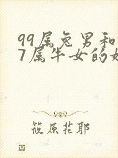 99属兔男和97属牛女的婚配好不好