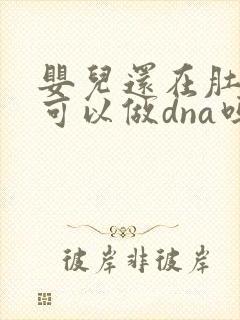 婴儿还在肚子里可以做dna吗