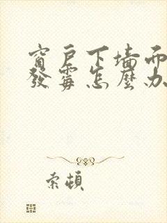 窗户下墙面潮湿发霉怎么办