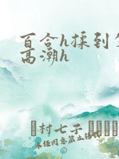 百合h揉到失禁高潮h