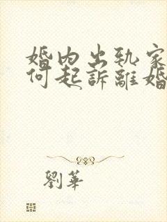 婚内出轨家暴如何起诉离婚