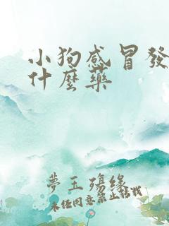 小狗感冒发烧用什么药