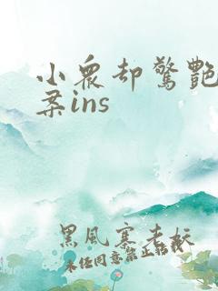 小众却惊艳的文案ins