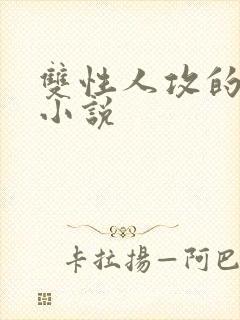 双性人攻的高h小说