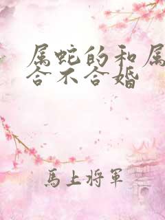 属蛇的和属虎的合不合婚