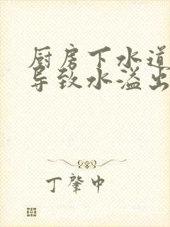 厨房下水道堵塞导致水溢出来