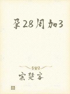 孕28周加3