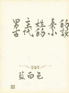 男主姓秦的穿越古代的小说