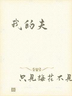 我的夫