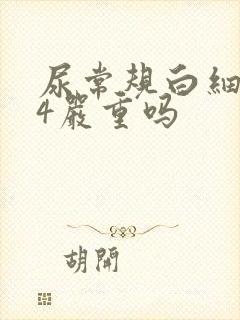 尿常规白细胞24严重吗