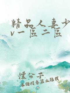 精品人妻少妇av一区二区