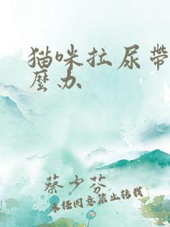 猫咪拉尿带血怎么办