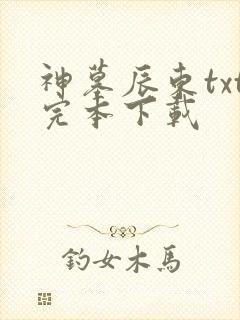 神墓辰东txt完本下载