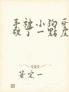 手被小狗牙齿划破了一点皮没出血