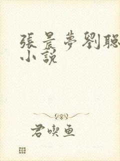 张晨梦刘聪赵兰小说