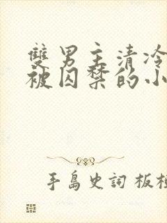 双男主清冷仙尊被囚禁的小说